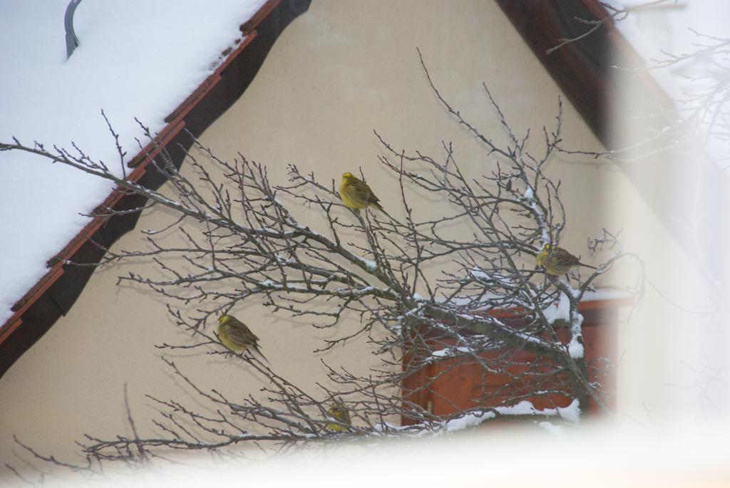 Gasthof Jaegerheim Birgland Exterior foto